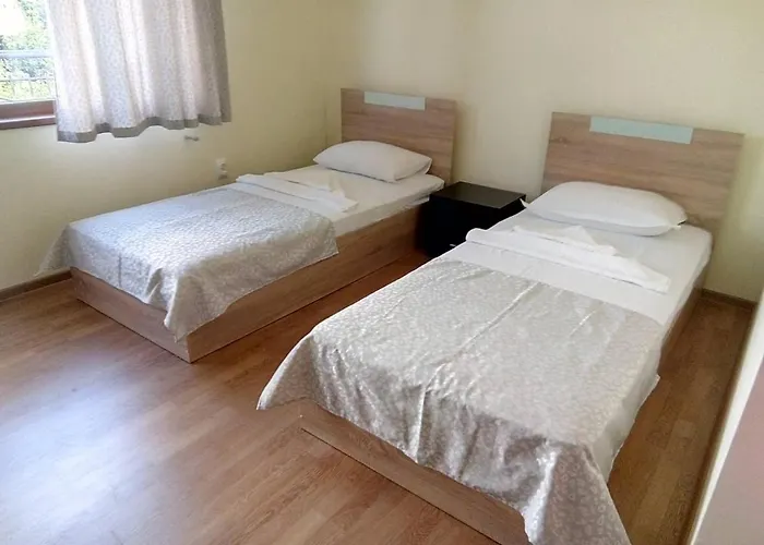 Alfa With Parking Guest house 3*