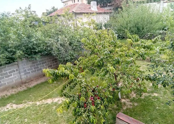 Pensiune Alfa With Parking 3*