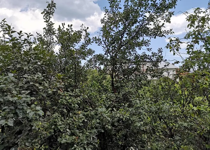 Alfa With Parking Guest house Varna