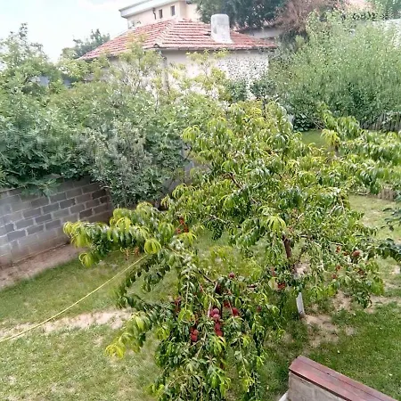 Guest house Alfa With Parking 3*